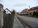 Třibřichy
